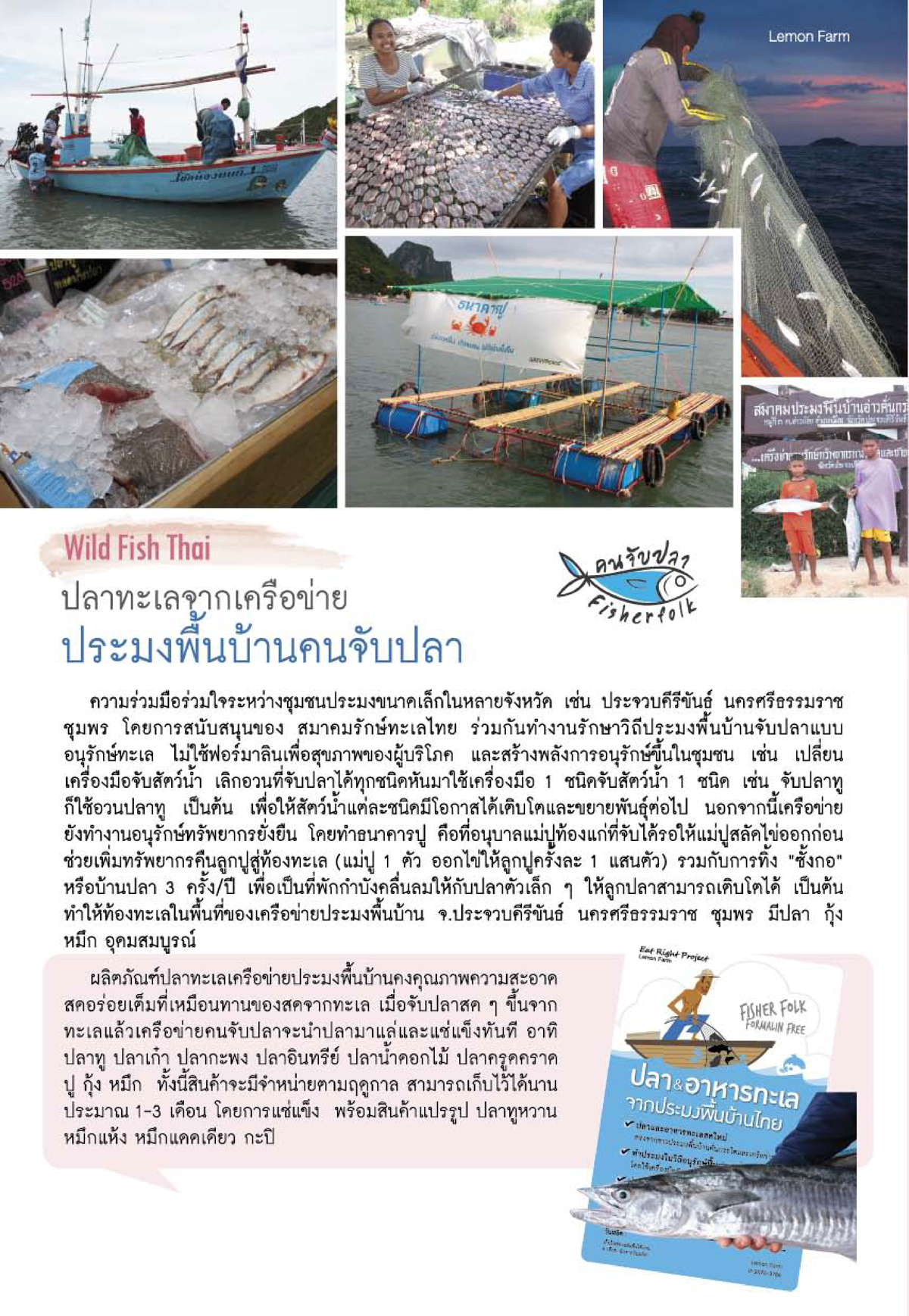 fish_thai