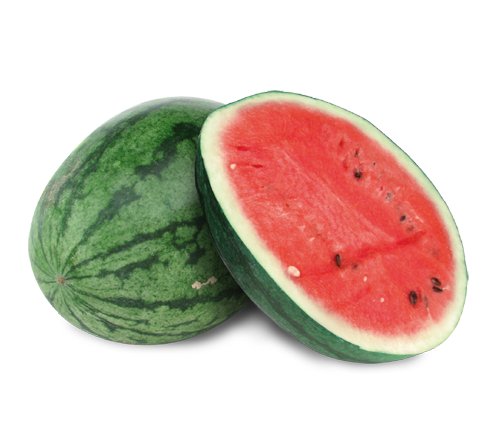 sea-watermelon0562