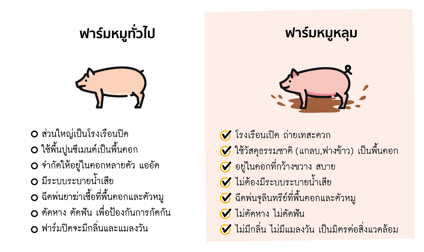 pork62 (1)