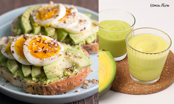 avocado-bune-c1