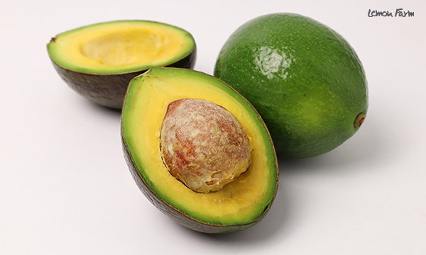 avocado-bune