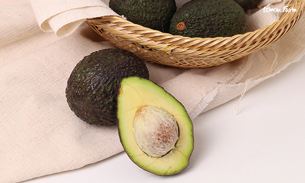 avocado-hass