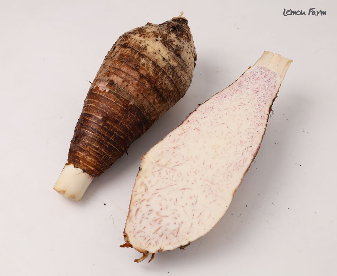 taro-c3
